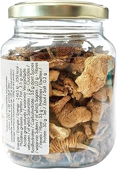 Fairy Ring Mushroom (Marasmius oreades)