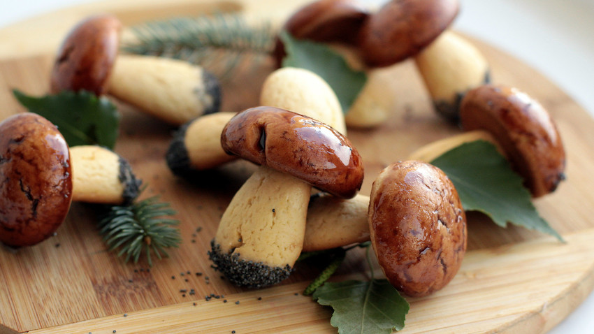 Kôrovka kruhová (Vuilleminia comedens)