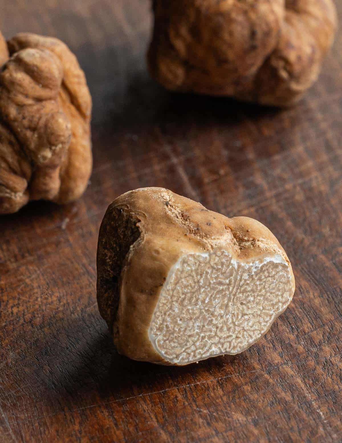 Pecan Truffle (Tuber lyonii)