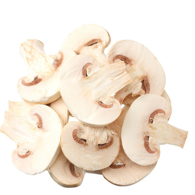 Slivka (Lactarius plumbeus)